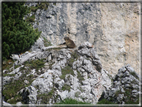 foto Dolomiti